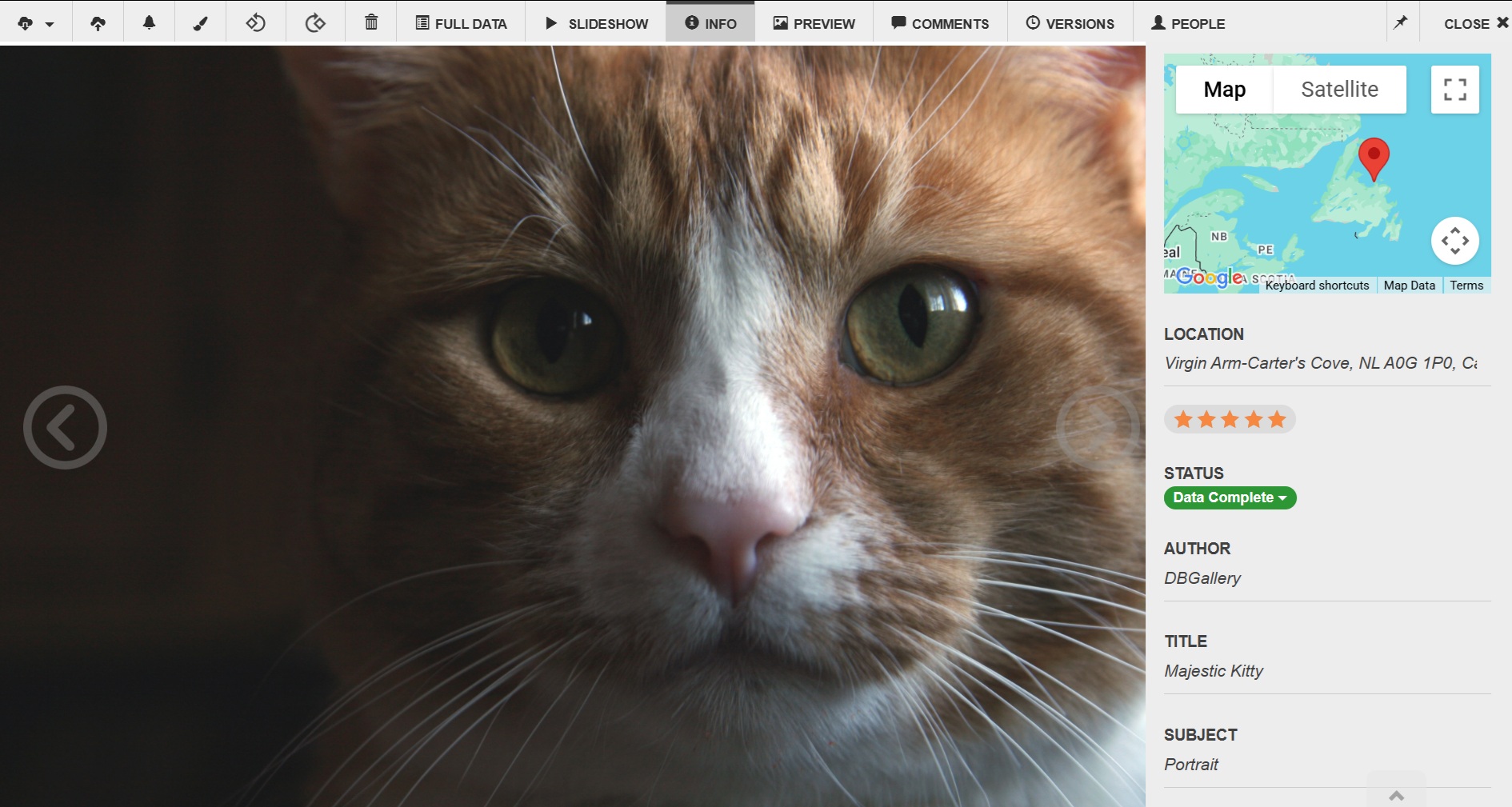 DBGallery white theme sample screenshot.