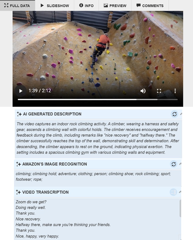AI Video Transcription Data in DBGallery
