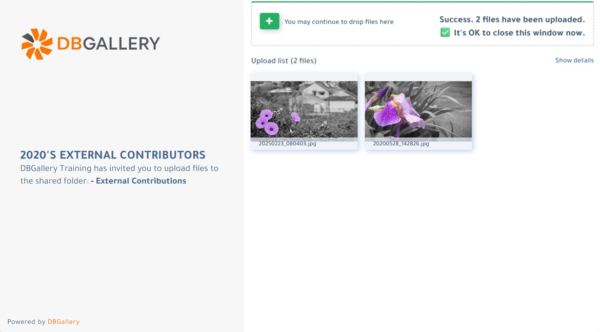 Public Uploads - what the end user sees