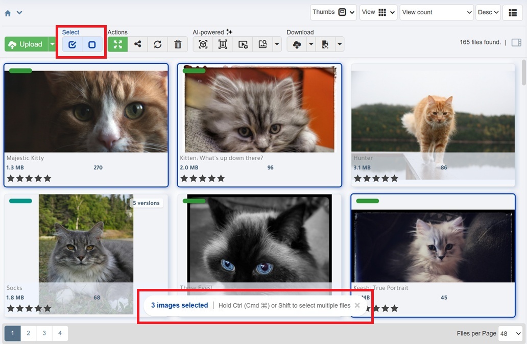 Release 19 Thumbs Selection