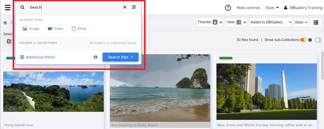 Release 19 Search Basics change