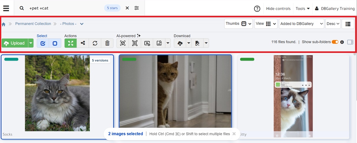 Release 19 Main Gallery Menu