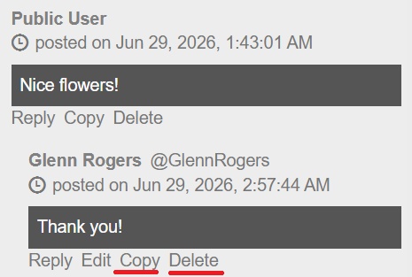 Release 19.5 comments delete and copy